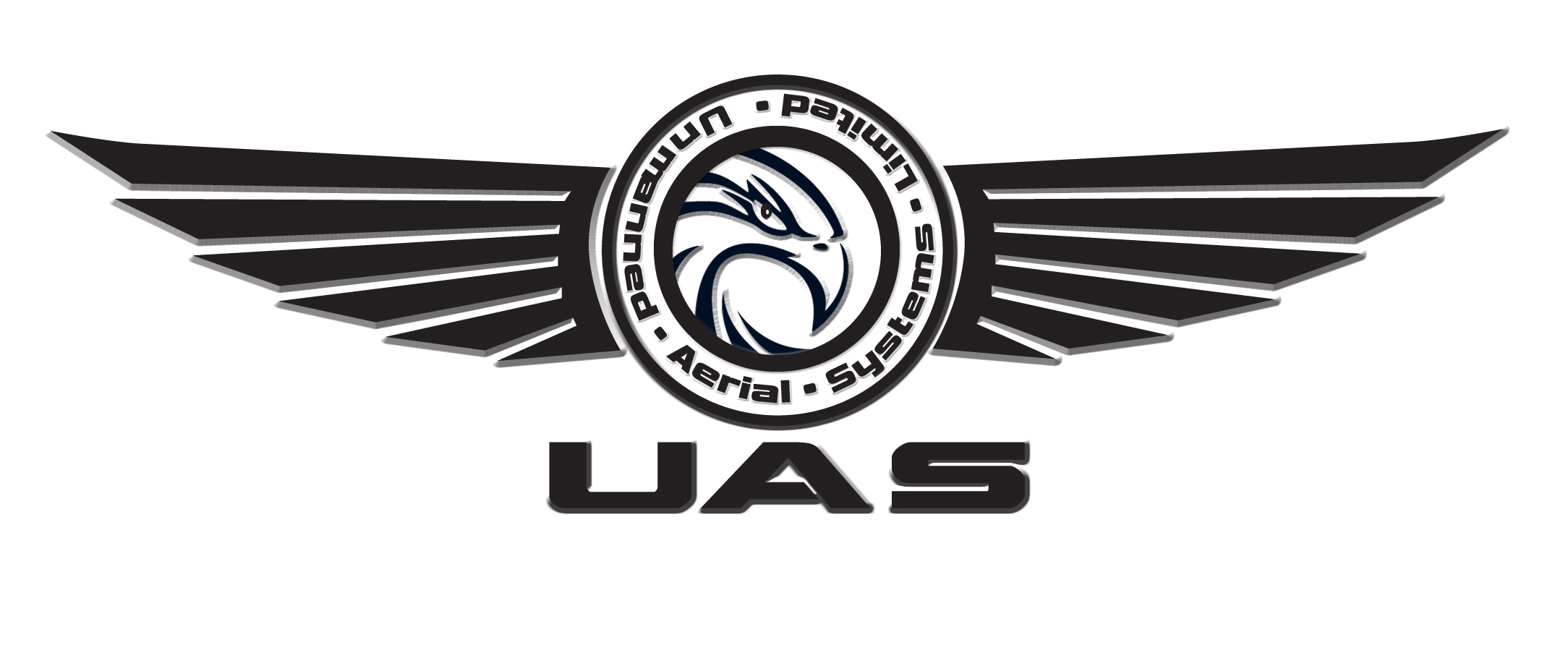 Unmanned Aerial Systems-Introduction